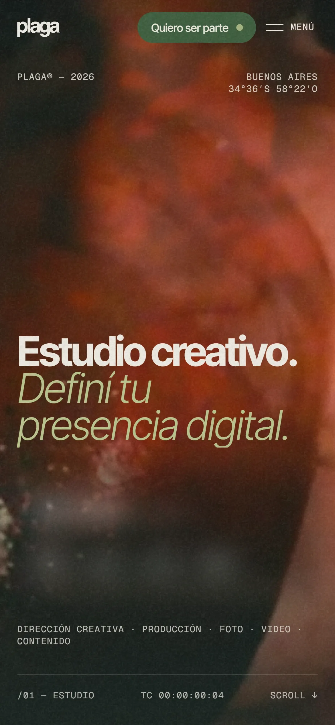 Portada de proyectoplaga.com en el celular